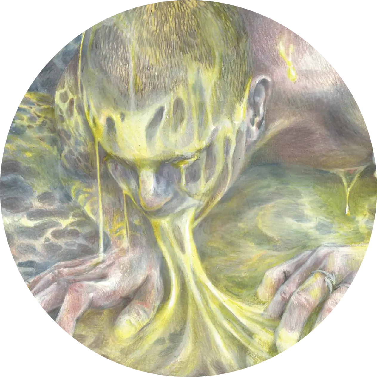 Swamp