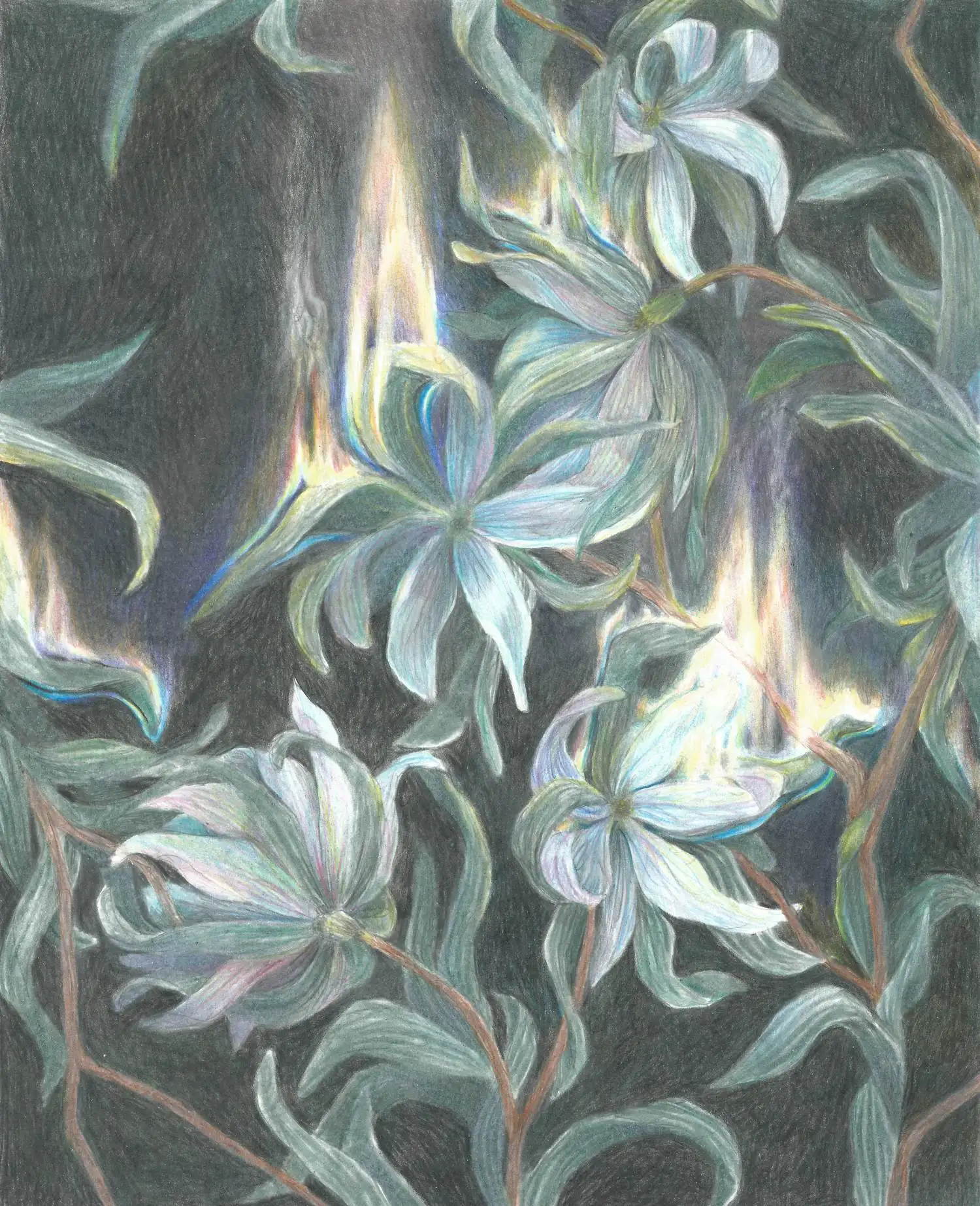Drawing Flower 1