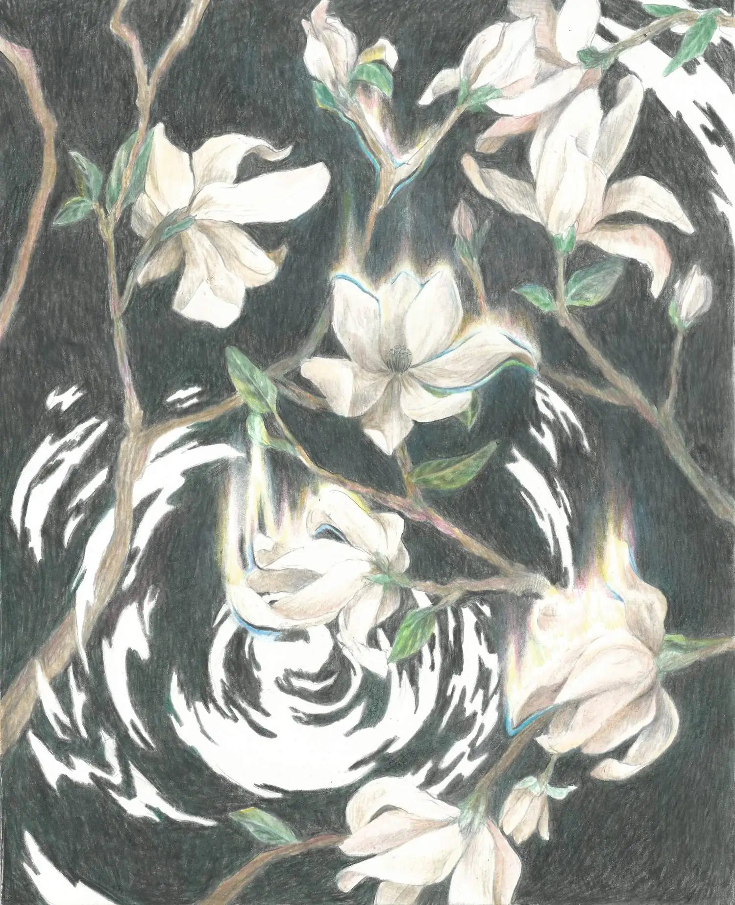 Drawing Flower 3