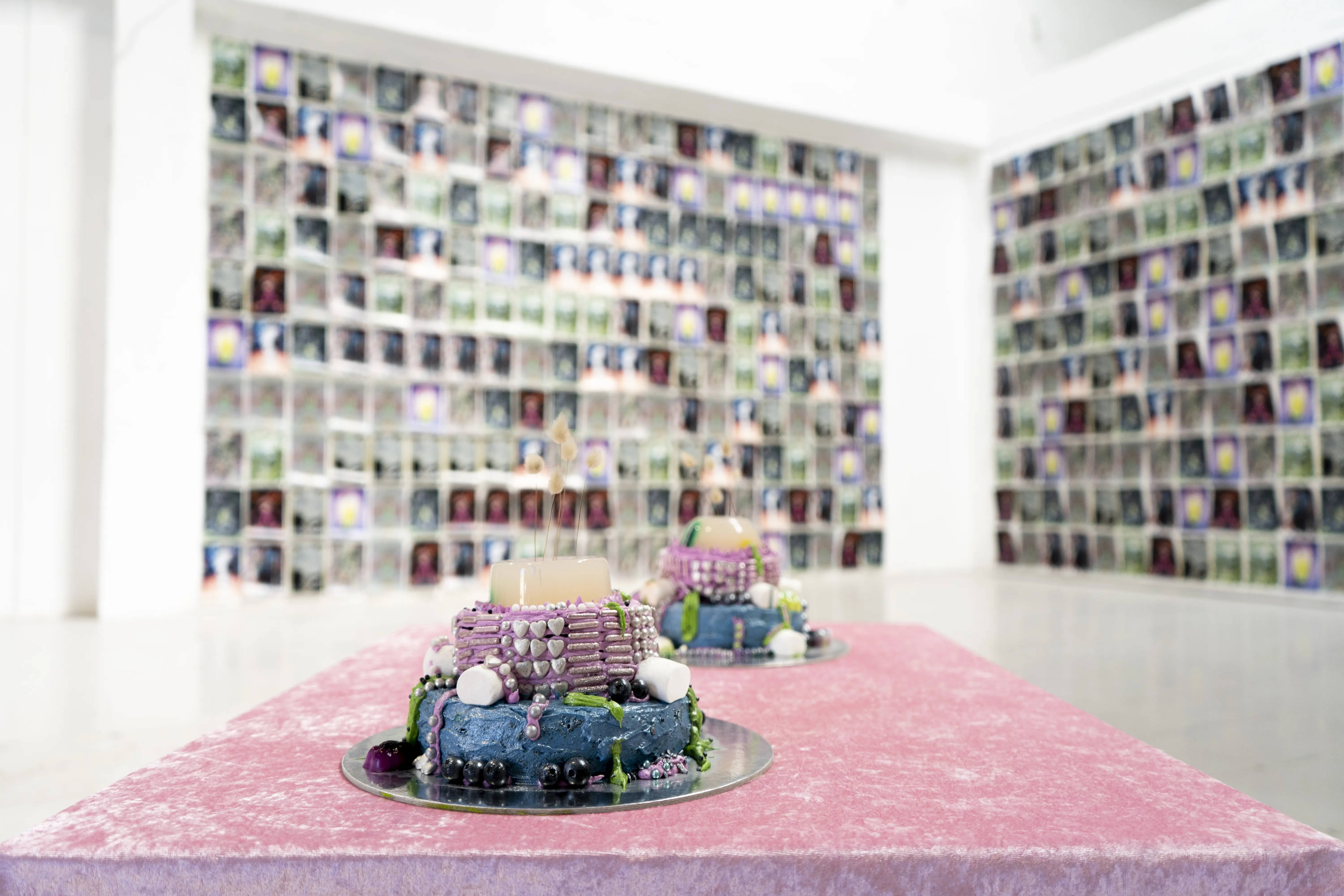 SPOILER - Exhibition view (view 10)